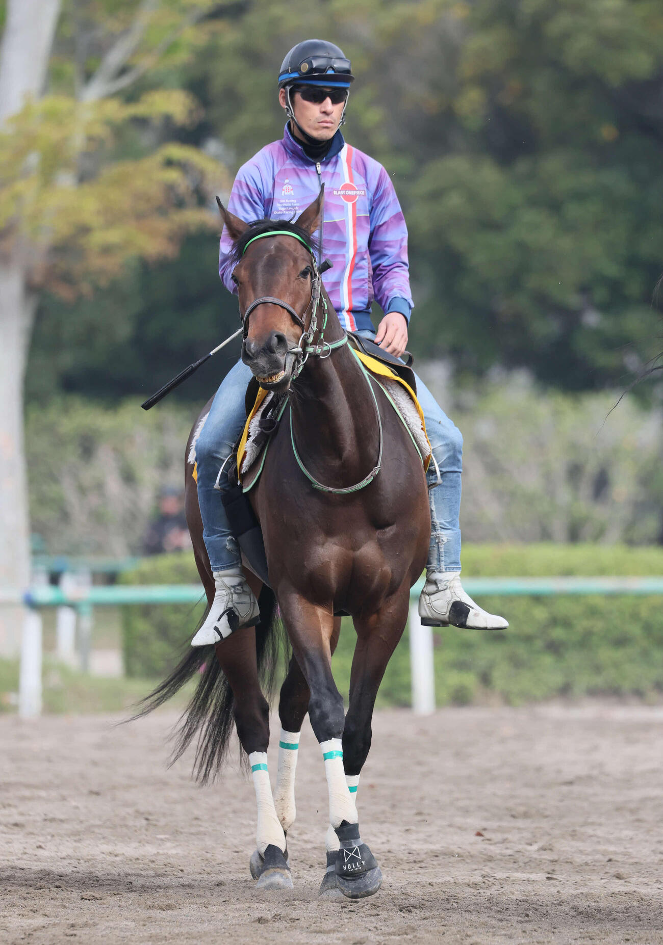 馬場へ向かうジョイフルニュース（撮影・丹羽敏通）