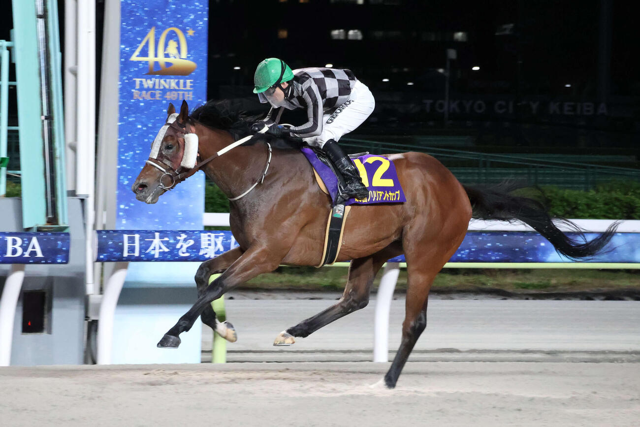 直線で抜け出しブリリアントCを制したリベイクフルシティと和田譲治騎手