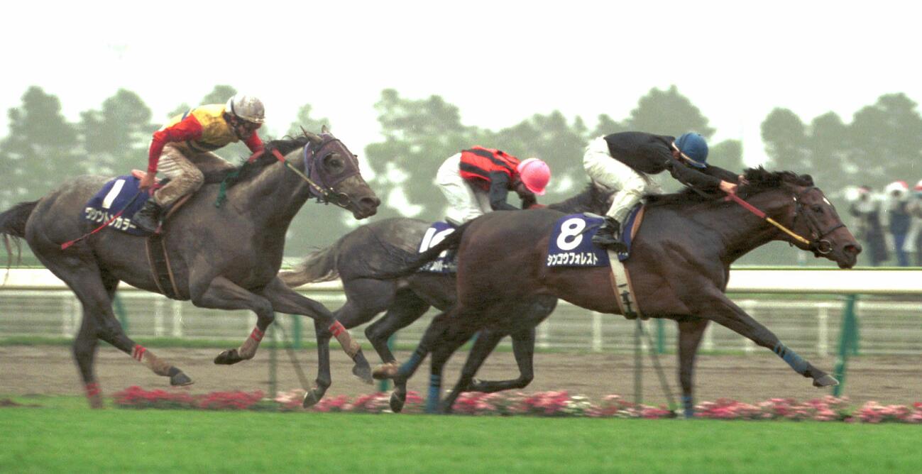 98年、高松宮記念を制したシンコウフォレスト（右）