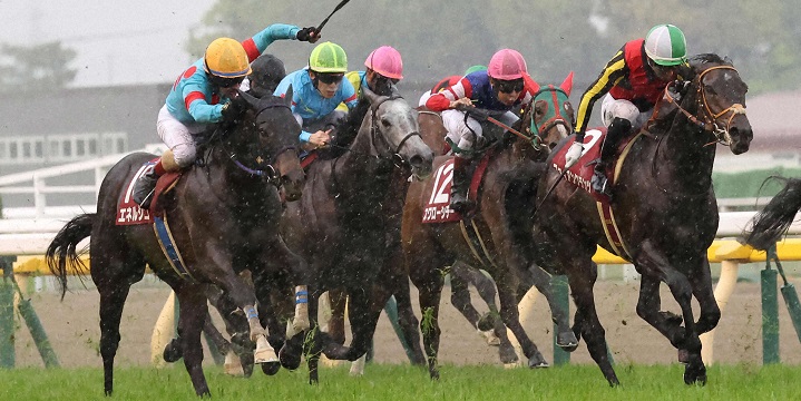 青葉賞を制したエネルジコ＝2025年4月26日