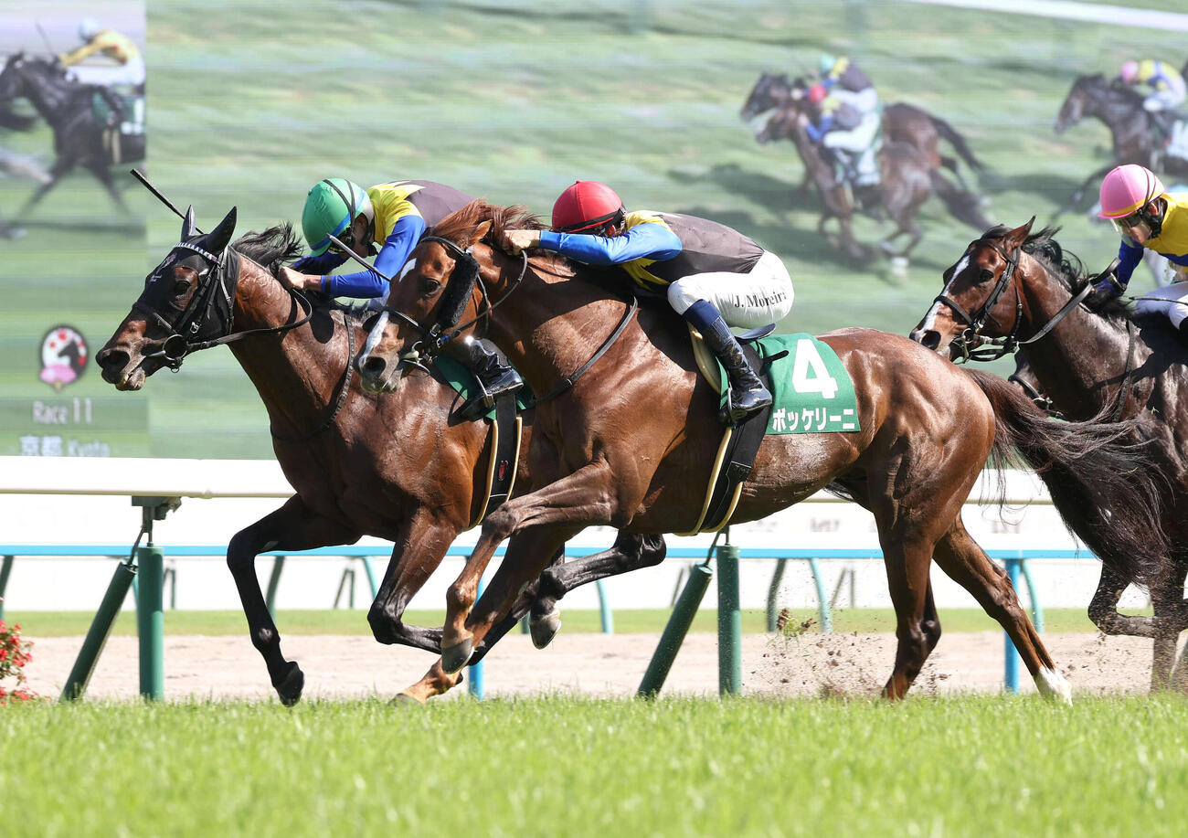 24年鳴尾記念、同じ勝負服同士の接戦を制したヨーホーレイク（左）