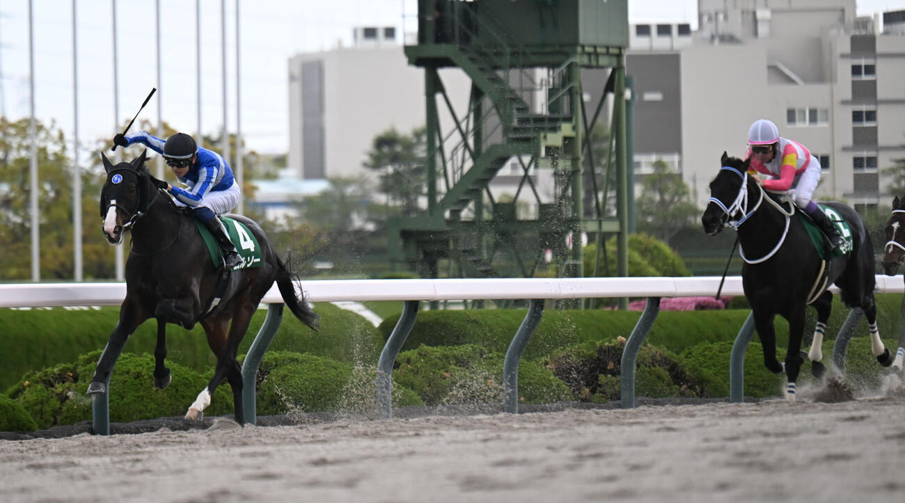 ムルソーが制したアンタレスS（撮影・和賀正仁）