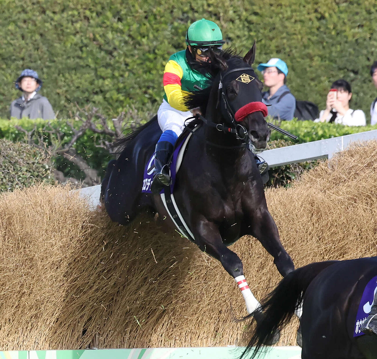 中山GJをレコードで制したエコロデュエルと草野騎手（撮影・丹羽敏通）
