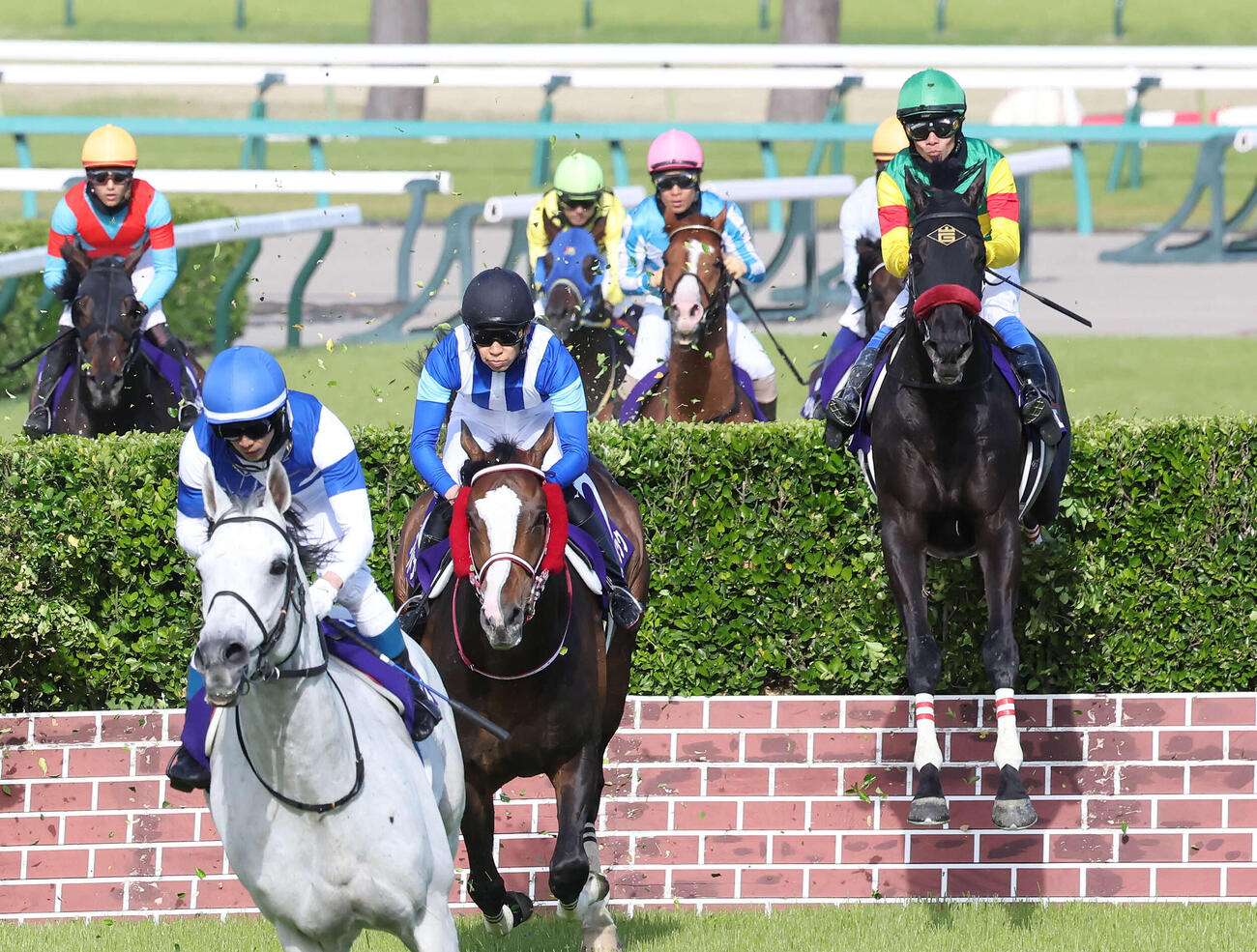 エコロデュエルが制した中山GJ（撮影・丹羽敏通）