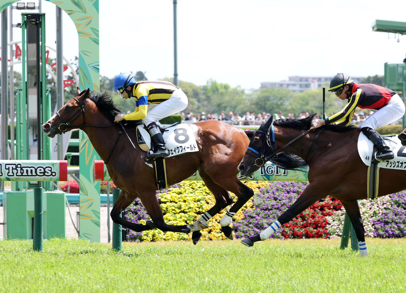 中山4R、3歳未勝利を制したウェイクフィールドと横山和騎手（撮影・鈴木正人）