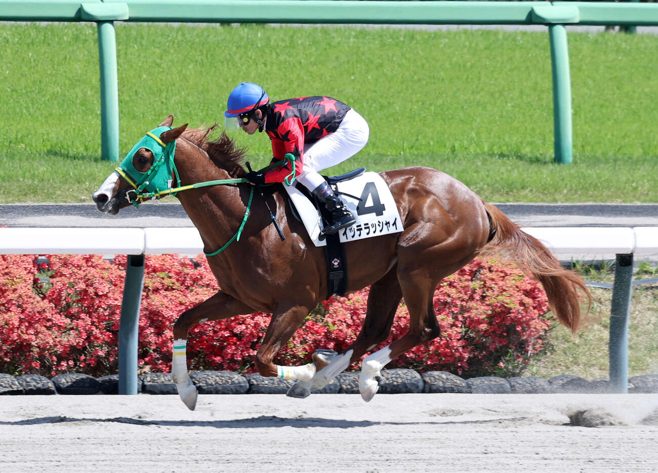 中山6R 3歳1勝クラスを制したイッテラッシャイと戸崎騎手（撮影・鈴木正人）　
