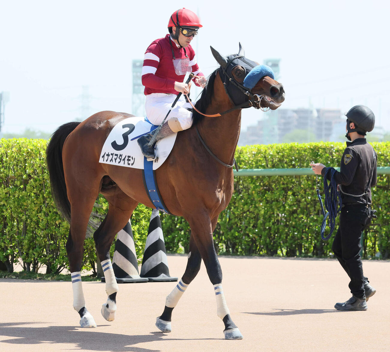中山6R、3歳1勝クラスで4着に敗れたイナズマダイモンとルメール騎手（撮影・丹羽敏通）