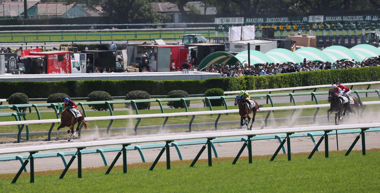 中山6R、3歳1勝クラスを制したイッテラッシャイと戸崎騎手（左）。右端は4着イナズマダイモン（撮影・丹羽敏通）