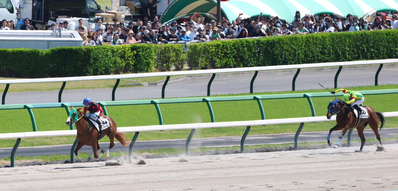 中山6R、逃げ切って3歳1勝クラスを快勝したイッテラッシャイ（左）（撮影・白石智彦）