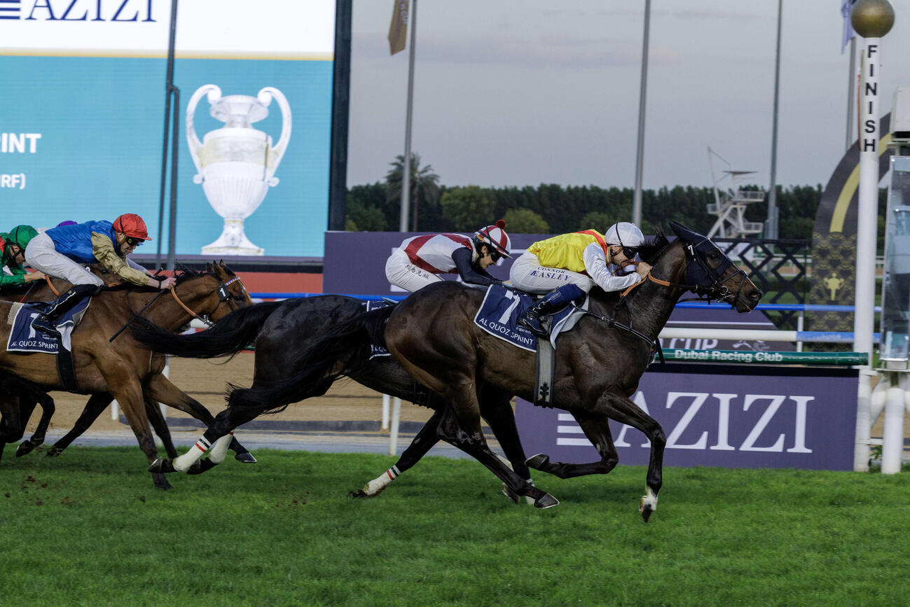 アルクオーツスプリントを制したネイティブアプローチ（C）Dubai Racing Club
