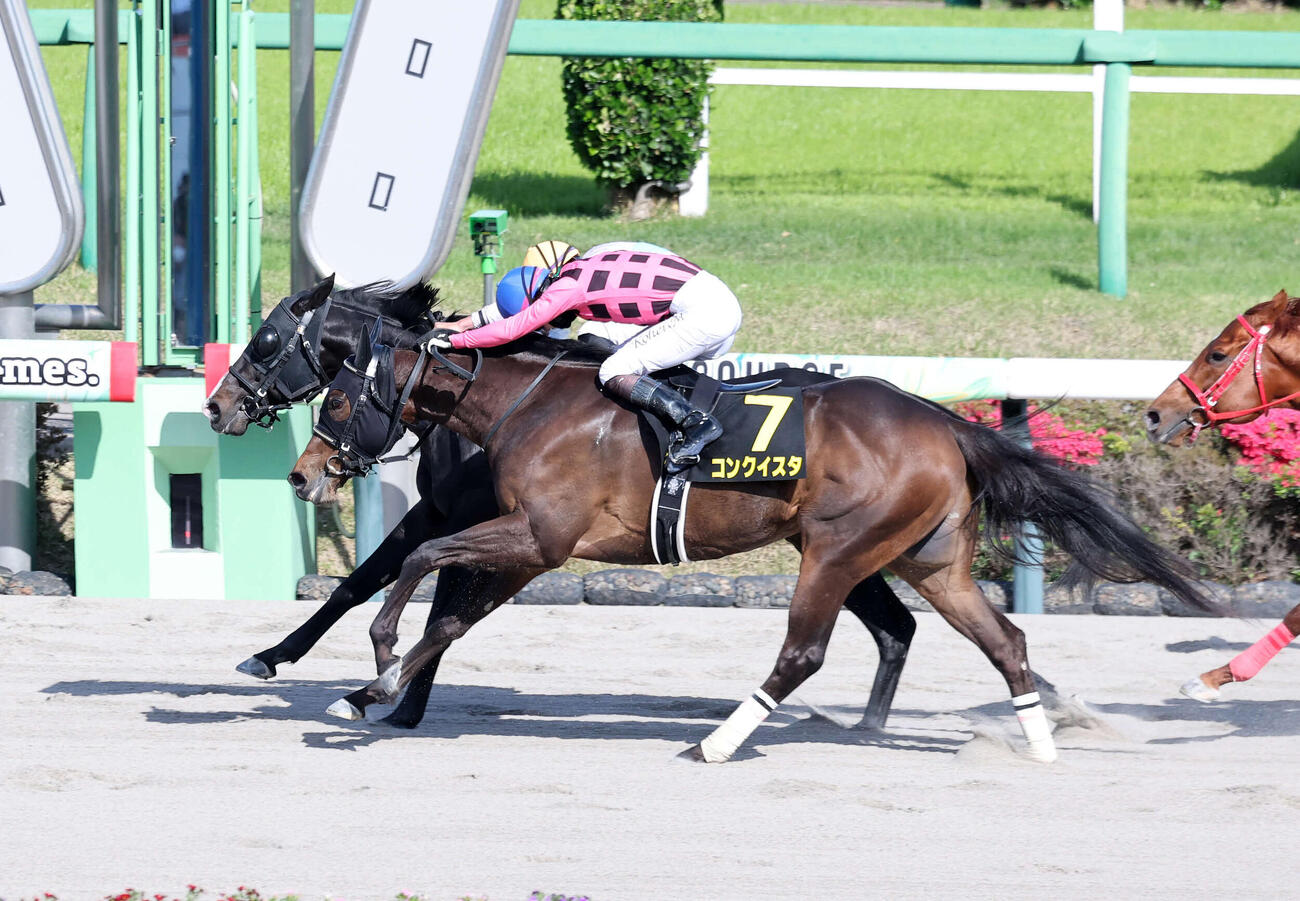中山10R　京葉Sを制したナムラフランク（後方）と岩田望来騎手（撮影・鈴木正人）　