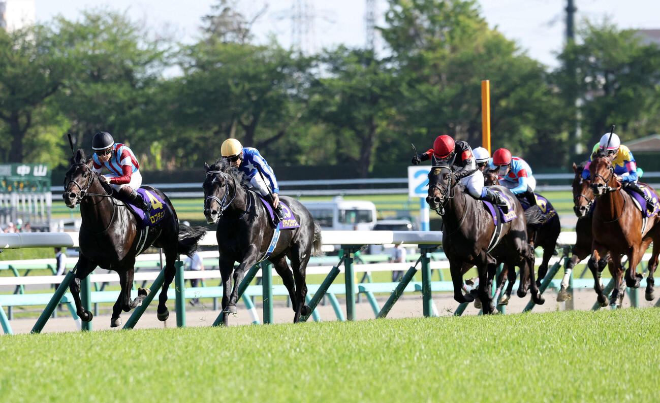 皐月賞を制したロブチェン（左）と松山弘平騎手（撮影・鈴木正人）　