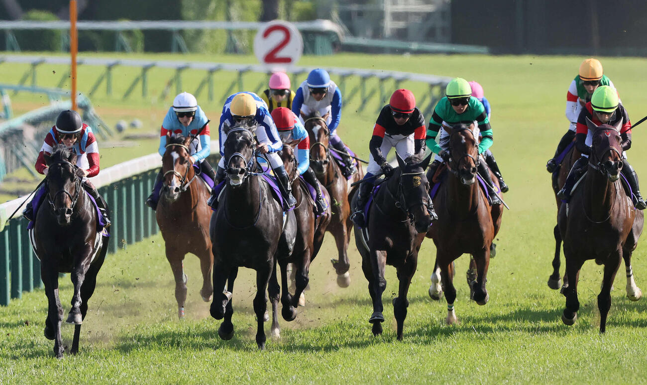皐月賞3着に入ったライヒスアドラー（右端）。左端は勝ったロブチェン（撮影・丹羽敏通）