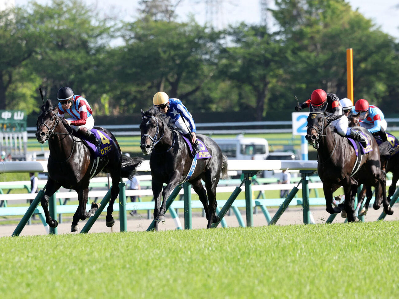 皐月賞4着に敗れたアスクエジンバラ（右）。左は勝ったロブチェン（撮影・鈴木正人）　