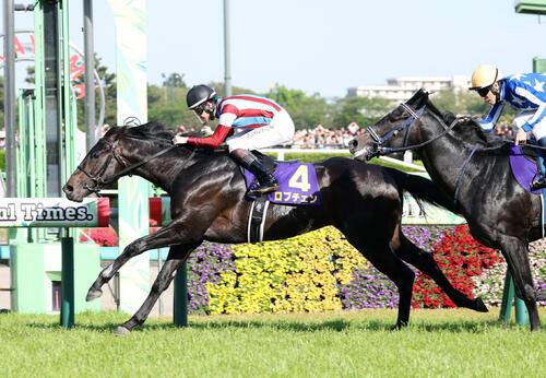 皐月賞】新種牡馬産駒による制覇は何回目？ロブチェンの父はワールド
