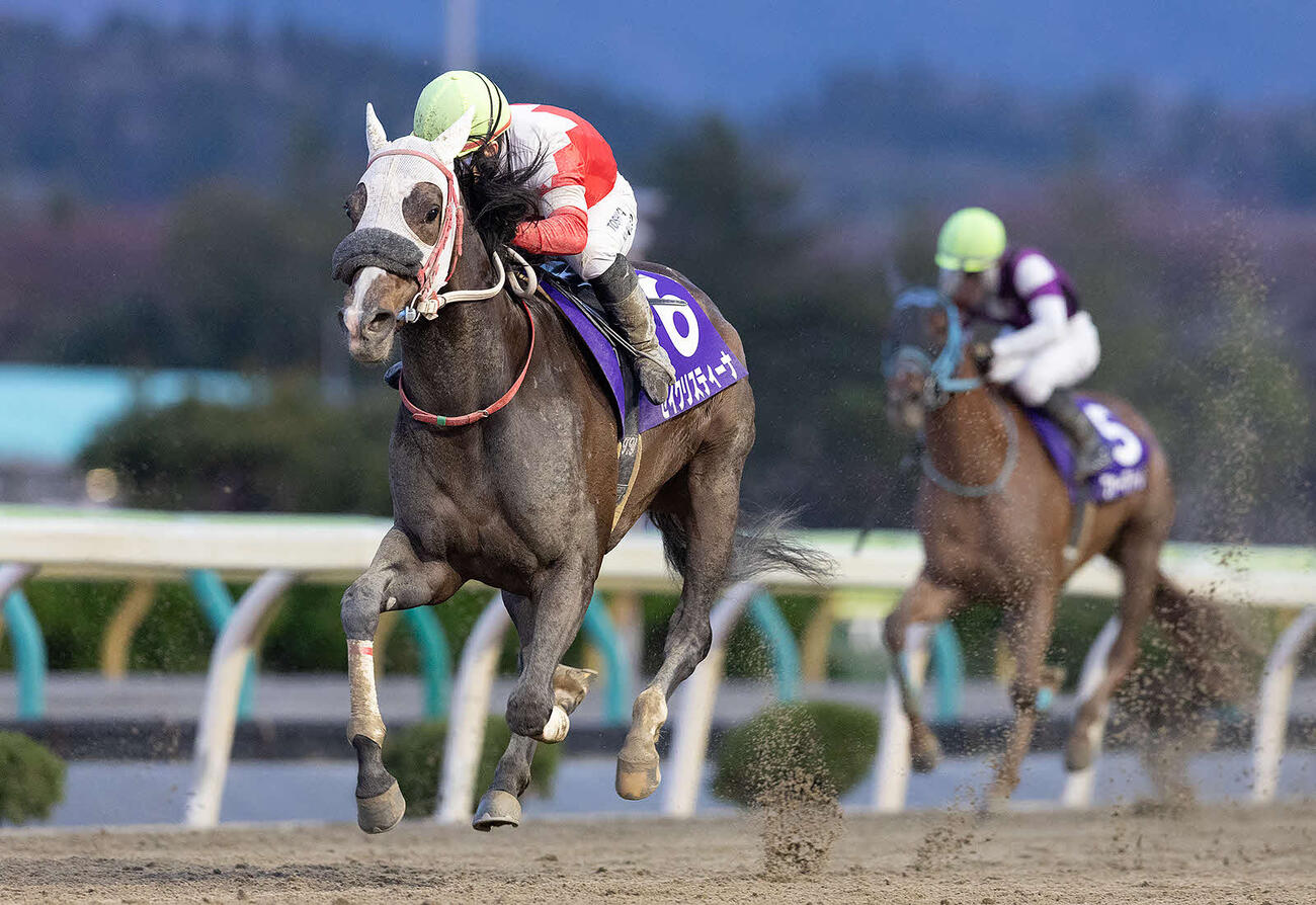 留守杯日高賞を制したセイクリスティーナ（C）岩手県競馬組合