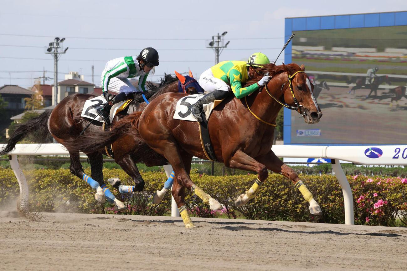 ヨルデモアーサーが直線で差し切り騎乗したエリオネ・シャベス騎手は来日初勝利