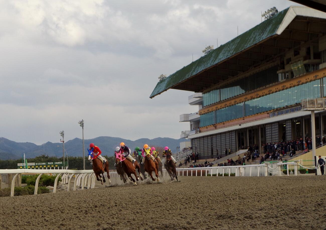 水沢競馬場（岩手県競馬組合提供）