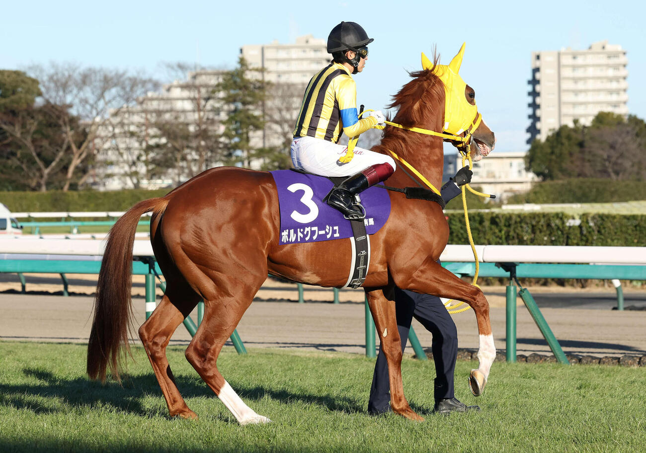 22年有馬記念2着に入ったボルドグフーシュ