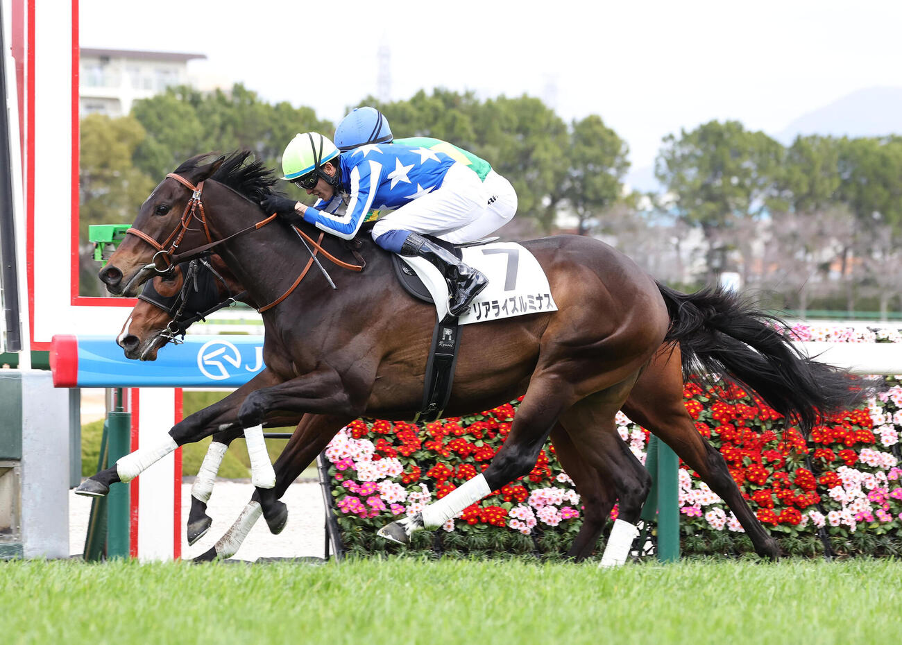 2月28日阪神5R、3歳未勝利を勝ち上がったリアライズルミナス