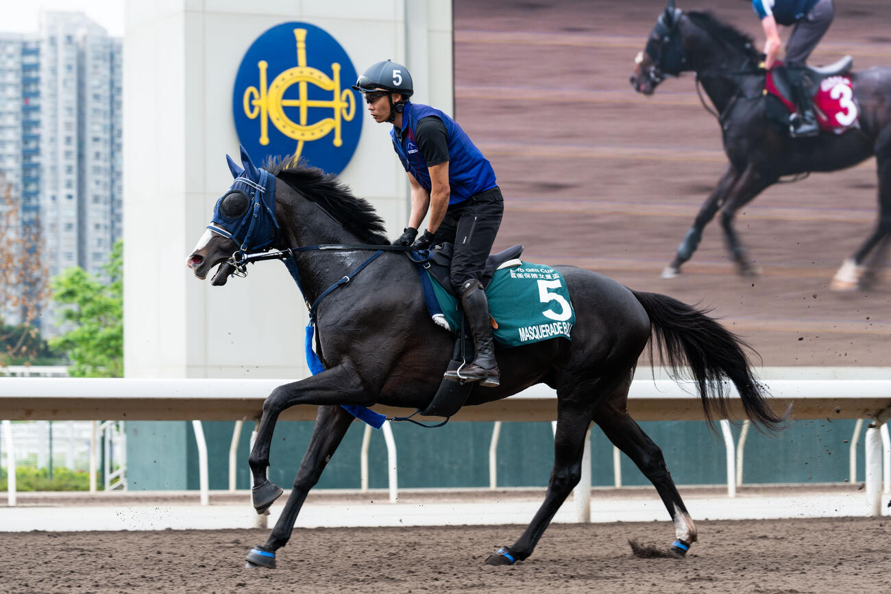 21日、シャティン競馬場で調整するマスカレードボール（C）The Hong Kong Jockey Club