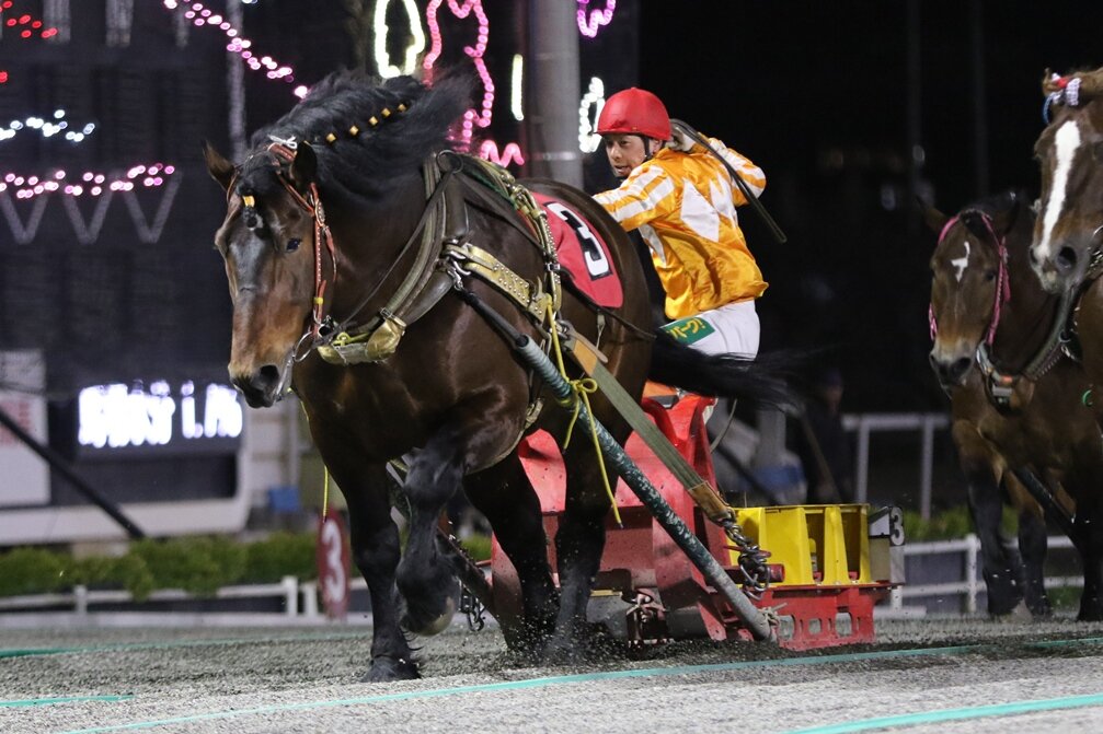 松井浩文師の2000勝達成となったコウシュハメジャー（写真提供・ばんえい十勝）