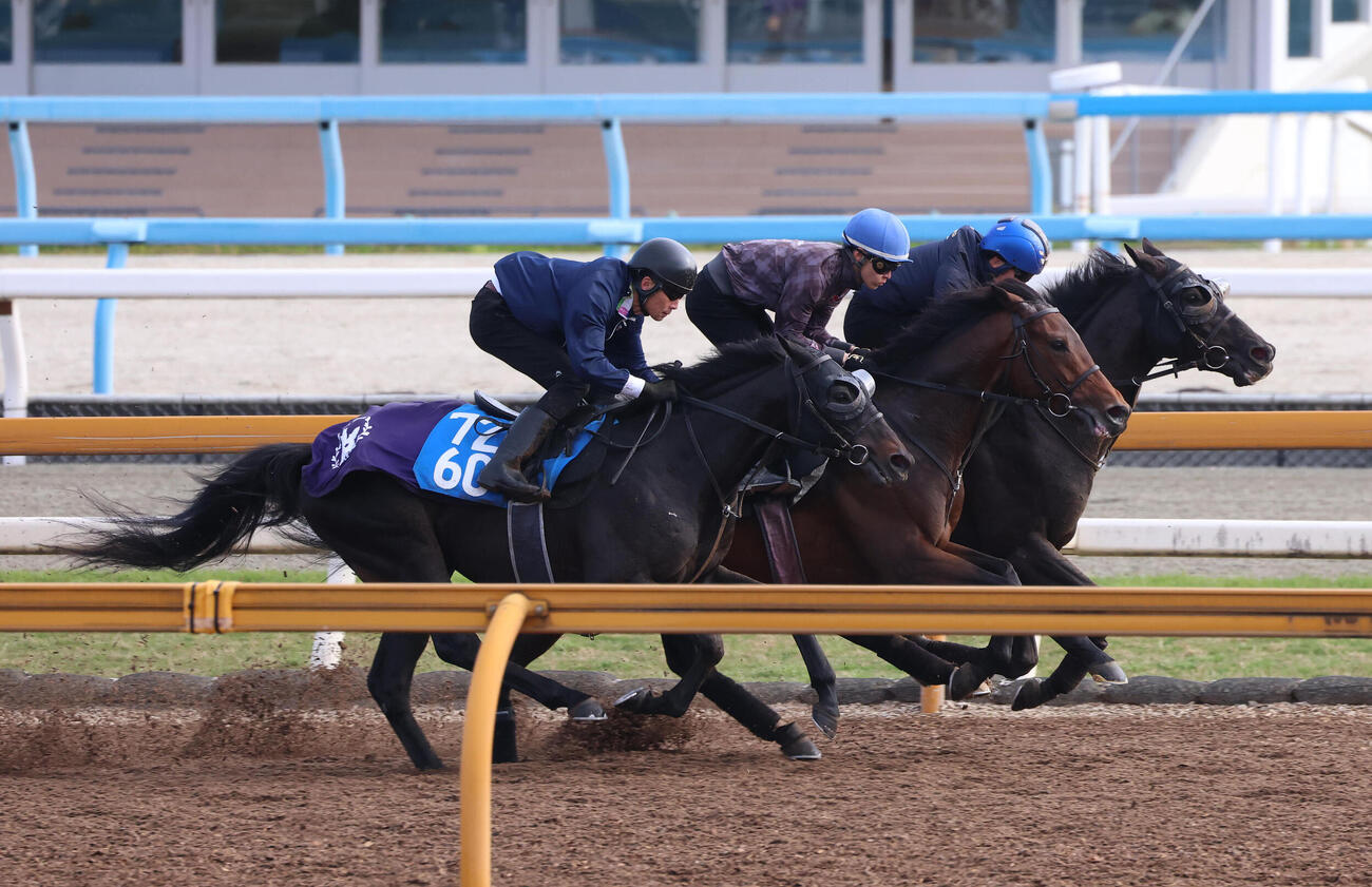 団野大成騎手を背にCウッドを3頭併せで追い切るクロワデュノール（右）（撮影・白石智彦）