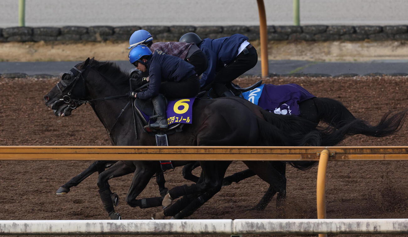 3頭併せで追い切るクロワデュノール（手前）