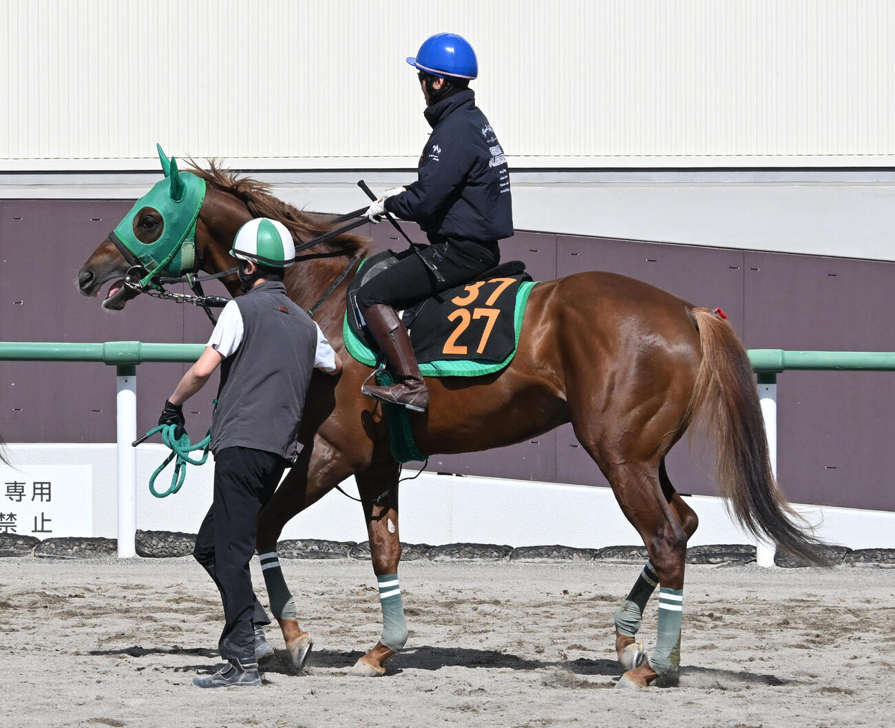馬場に向かうラストスマイルと杉原誠人騎手（撮影・千葉一成）