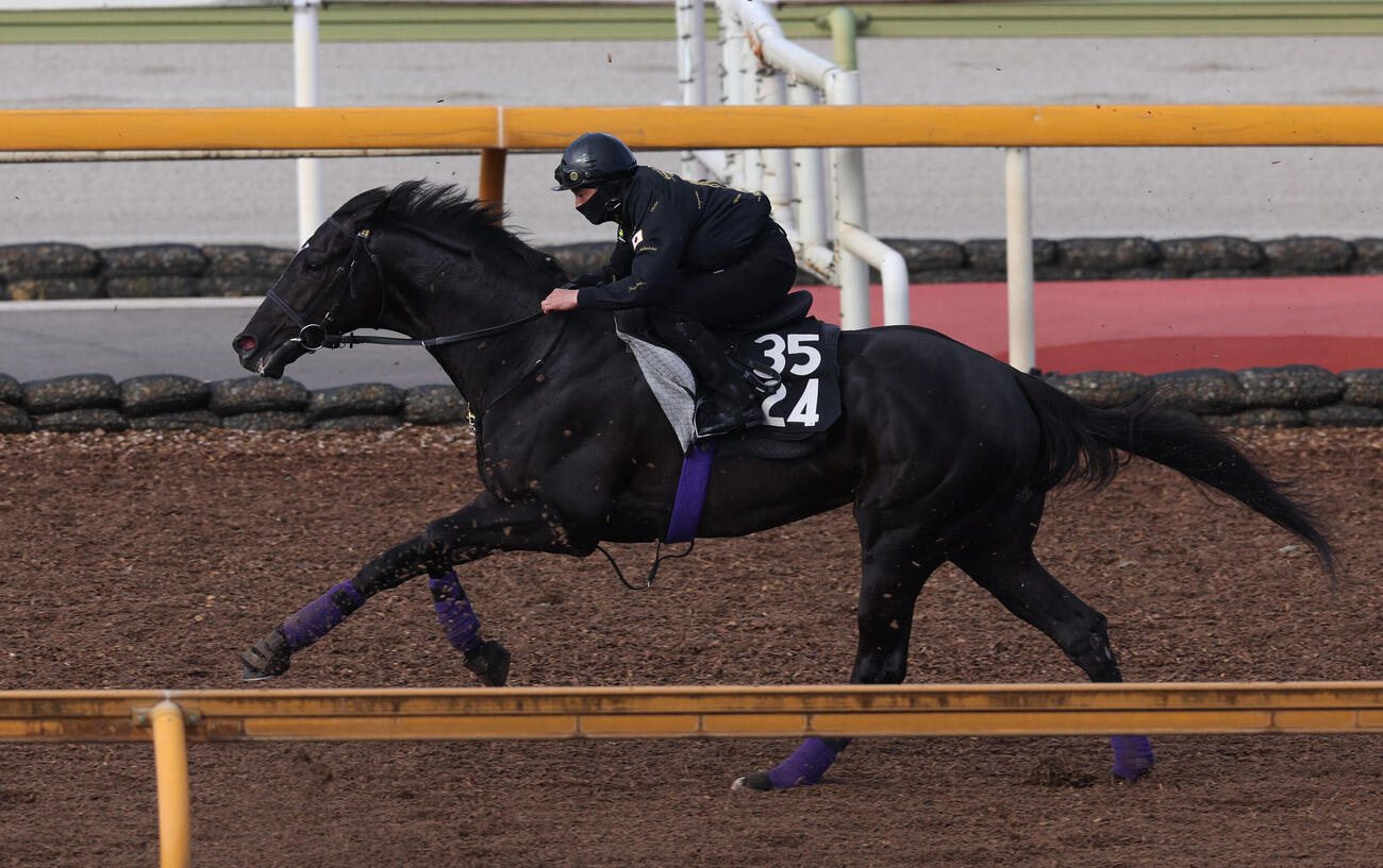 Cウッドコースで追い切るブラックオリンピア