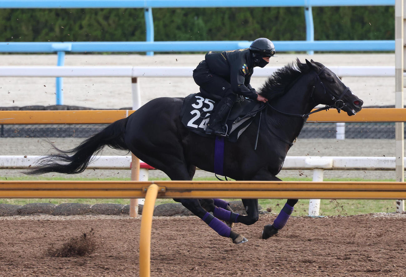 Cウッドを単走で追い切るブラックオリンピア（撮影・白石智彦）