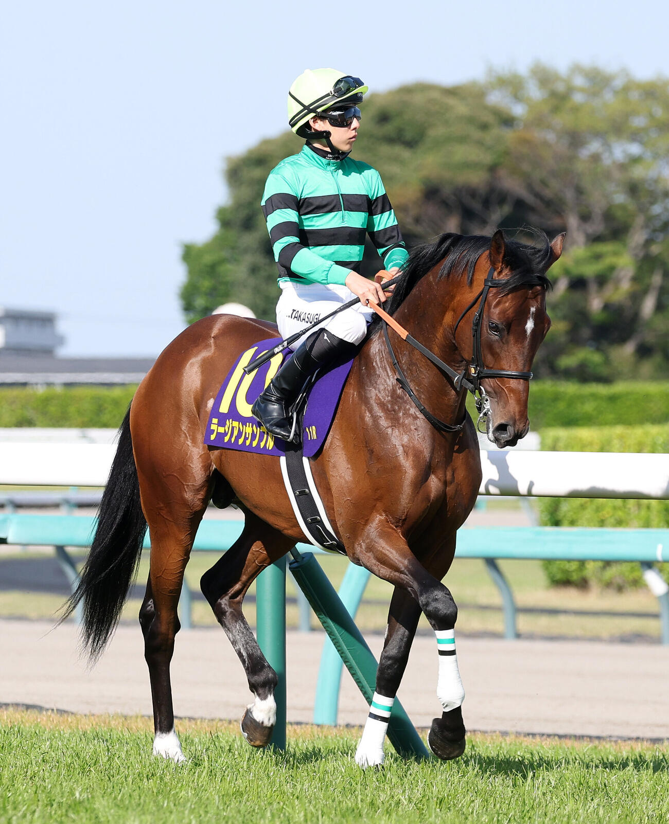 ラージアンサンブル（2026年4月20撮影）