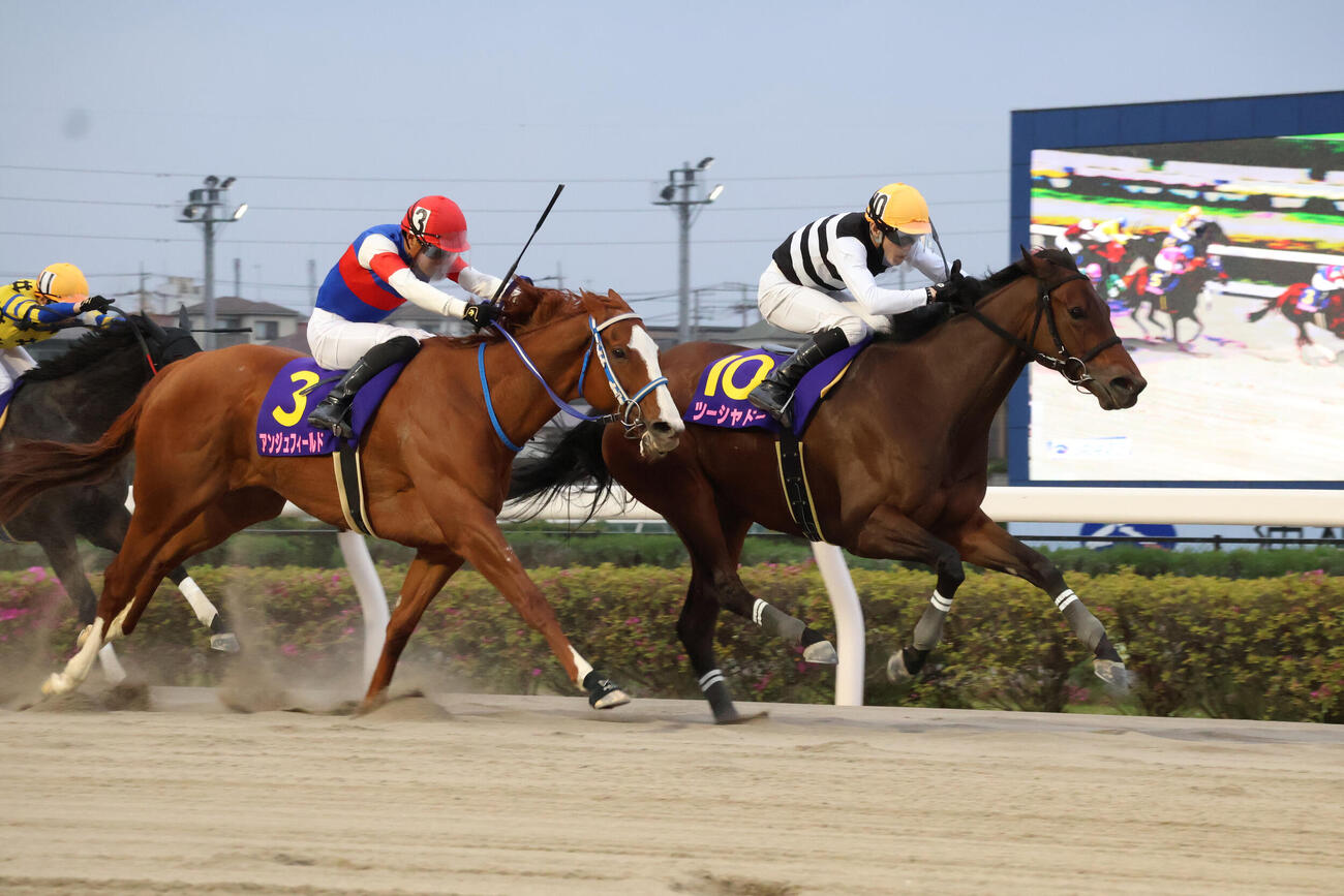 迫るアンジュフィールド（左）を半馬身差で退け、しらさぎ賞を制したツーシャドーと和田譲治騎手（右）