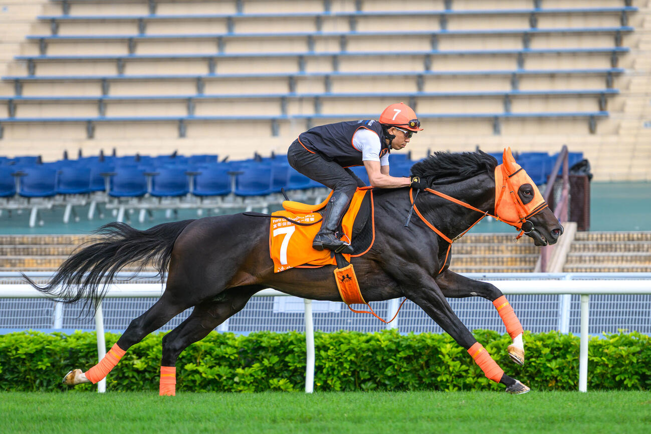 追い切りを行ったジャンタルマンタル（C）The Hong Kong Jockey Club