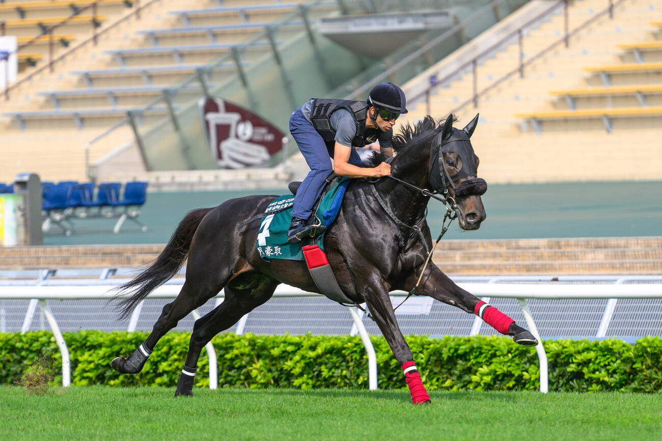 クイーンエリザベス2世Cへ向けて追い切りを行ったジューンテイク（C）The Hong Kong Jockey Club