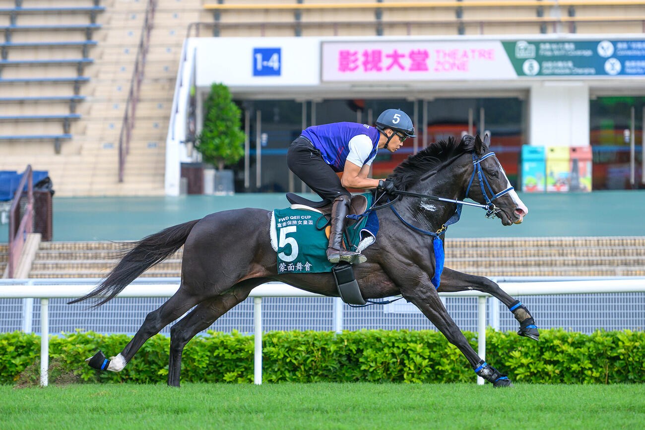 クイーンエリザベス2世Cへ向けて追い切りを行ったマスカレードボール（C）The Hong Kong Jockey Club
