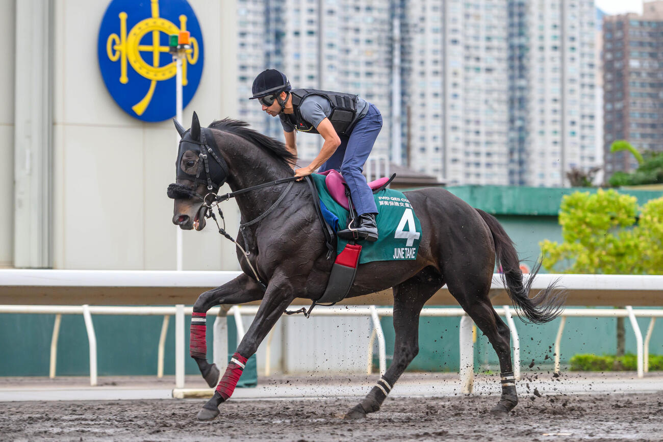 モレイラ騎手を背に調整されるジューンテイク（C）The Hong Kong Jockey Club