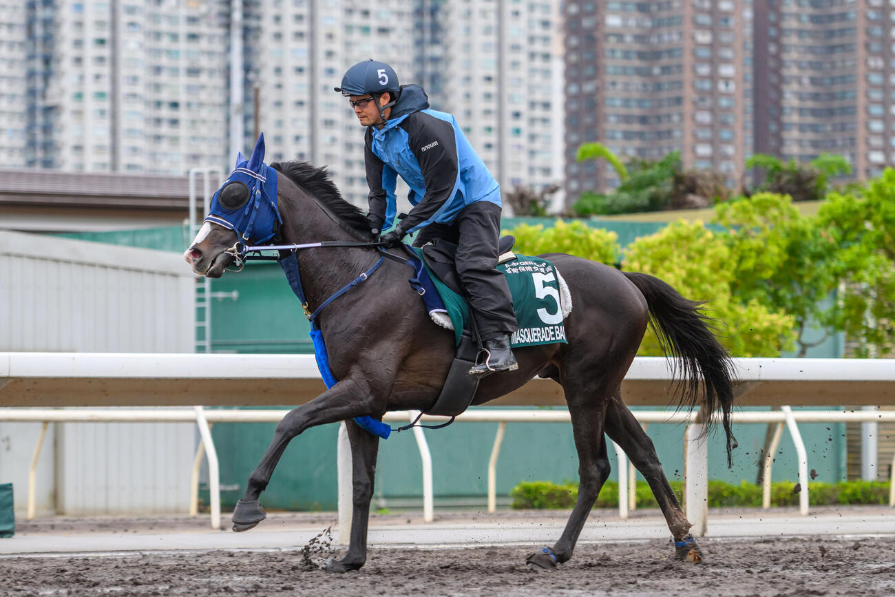 シャティン競馬場で調整するマスカレードボール（C）The Hong Kong Jockey Club