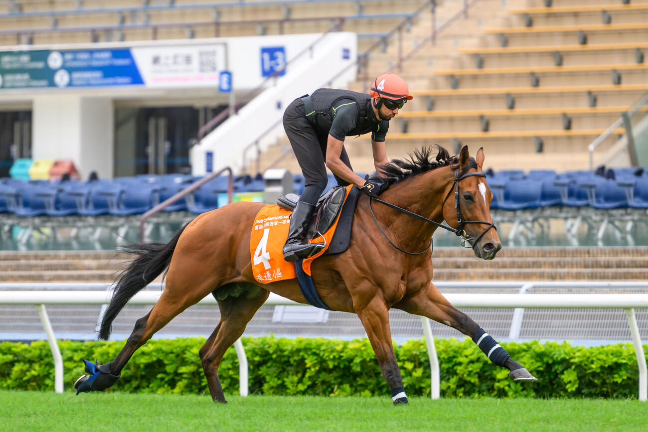 金曜朝、芝コースで時計を出したドックランズ（C）The Hong Kong Jockey Club