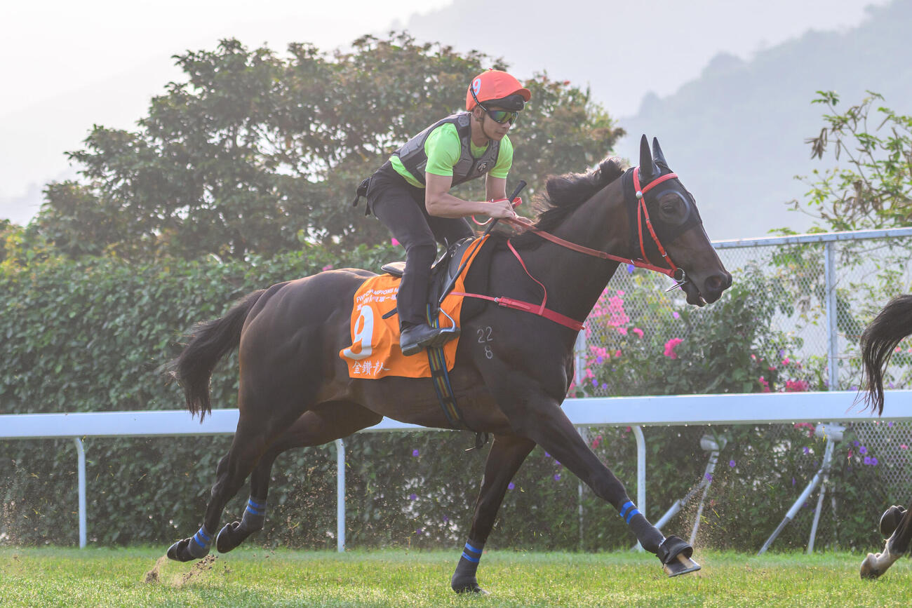 芝コースで調教するラッキースワイネス（C）The Hong Kong Jockey Club