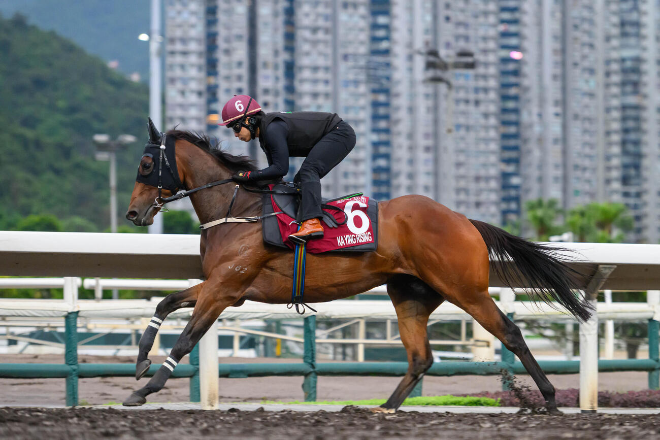 シャティン競馬場で調整するカーインライジング（C）The Hong Kong Jockey Club