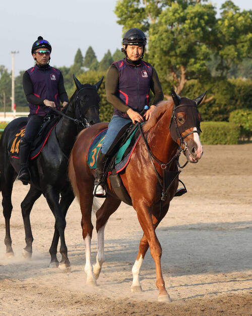 切れへんわ」グランアレグリア初子は2着で初Vお預け ルメール騎手が