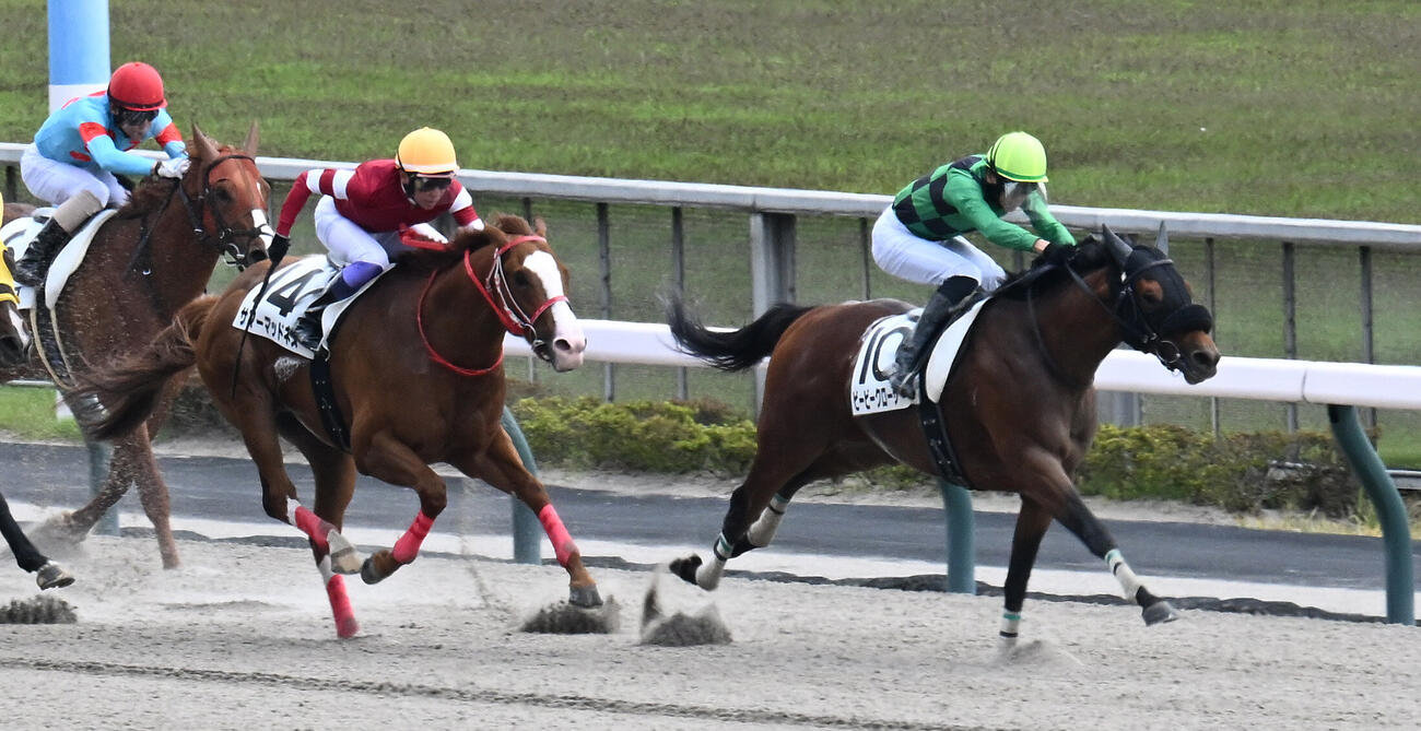 東京6R、3歳1勝クラスを制したビービークローサーと坂井瑠星騎手（右）（撮影・千葉一成）