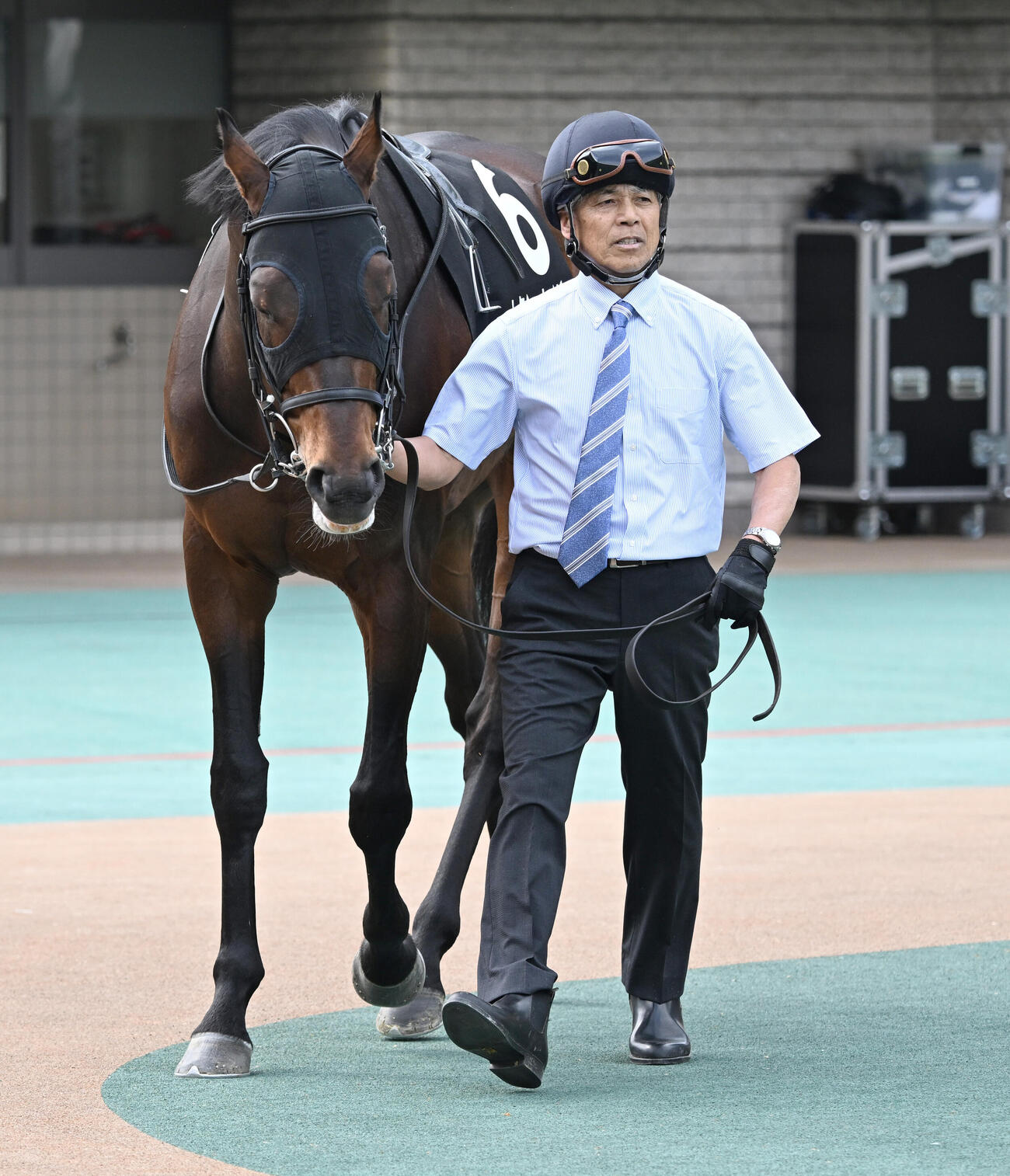 鎌倉S、パドックで周回するトクシーカイザーを曳く厩務員デビューした国枝栄元調教師（撮影・千葉一成）