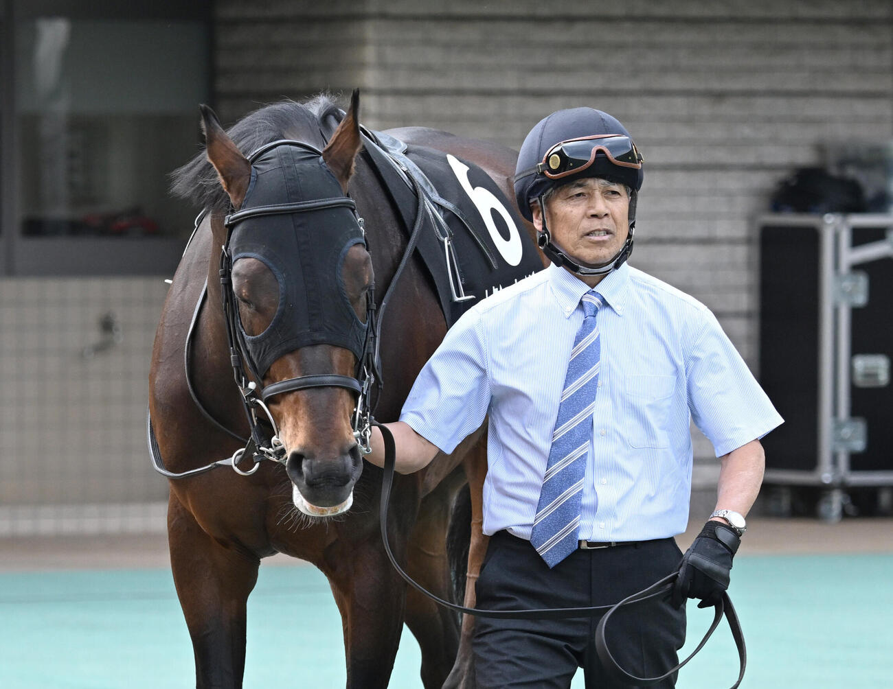 鎌倉S、パドックで周回するトクシーカイザーを曳く厩務員デビューした国枝栄元調教師（撮影・千葉一成）