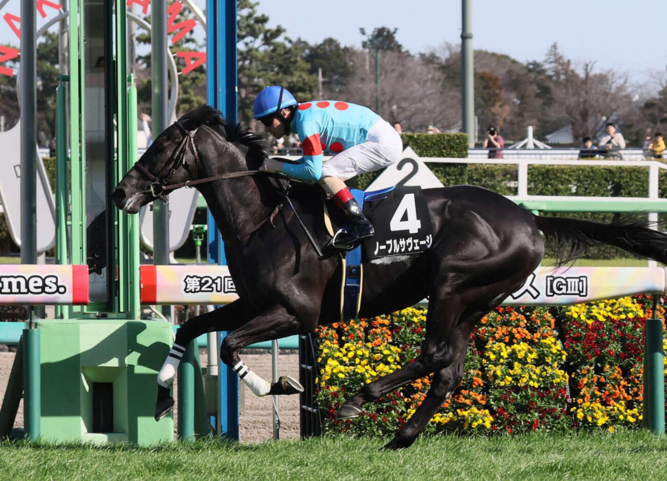 水仙賞を制し連勝中だったノーブルサヴェージ
