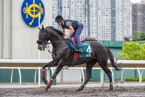 モレイラ様 香港QE2世C】モレイラ「依頼を受けたとき迷いは一切なかった」ジューン