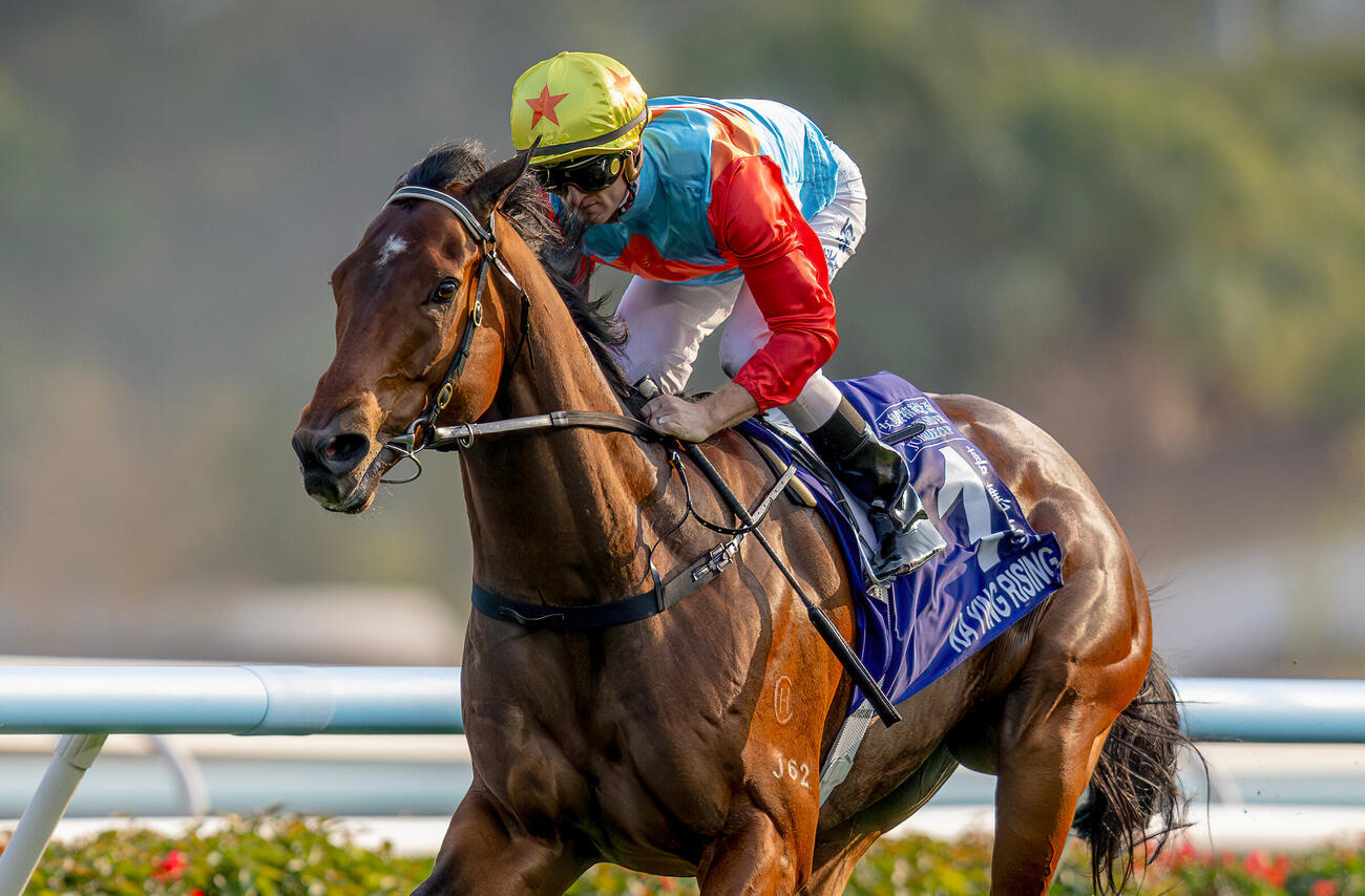 チェアマンズスプリントプライズで20連勝を狙うカーインライジング（C）The Hong Kong Jockey Club