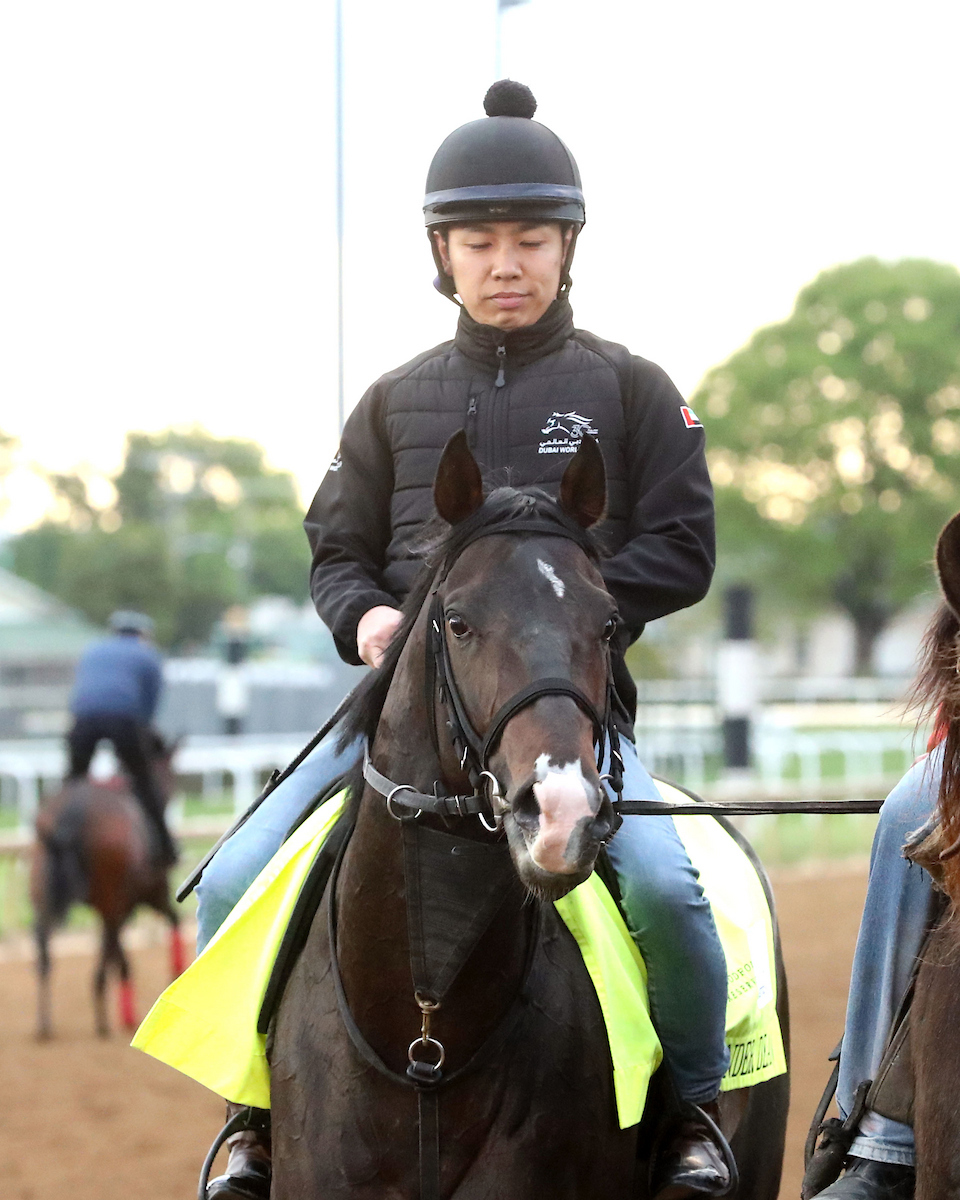チャーチルダウンズ競馬場で調教を行うワンダーディーン（C）COADY MEDIA