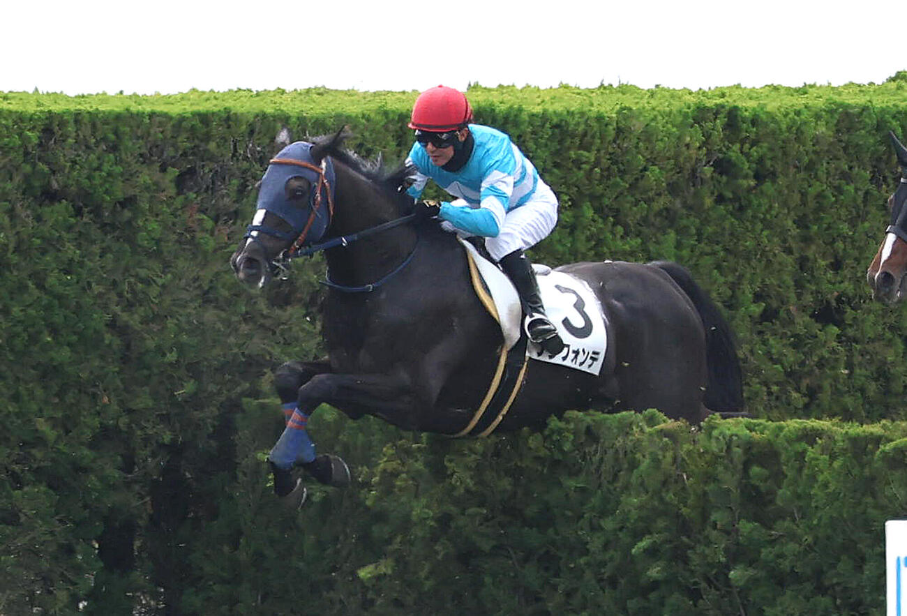 京都4R、引退レースで飛越するフジフォンテに騎乗の石神深一騎手